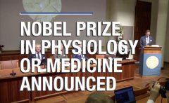 2019诺贝尔生理学\医学奖-印证德国Active Air原理：